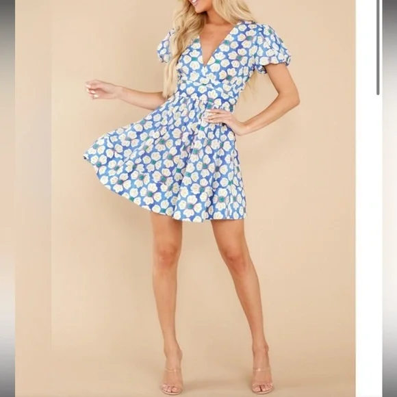 NWT Deloreta Mini Floral Blue Cotton Dress M - Picture 2 of 7